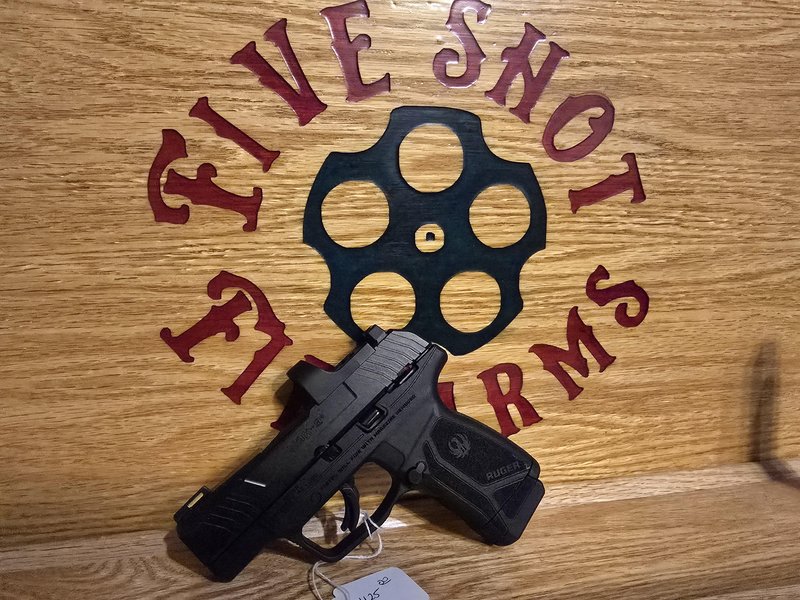 RUGER MAX9 WITH RED DOT